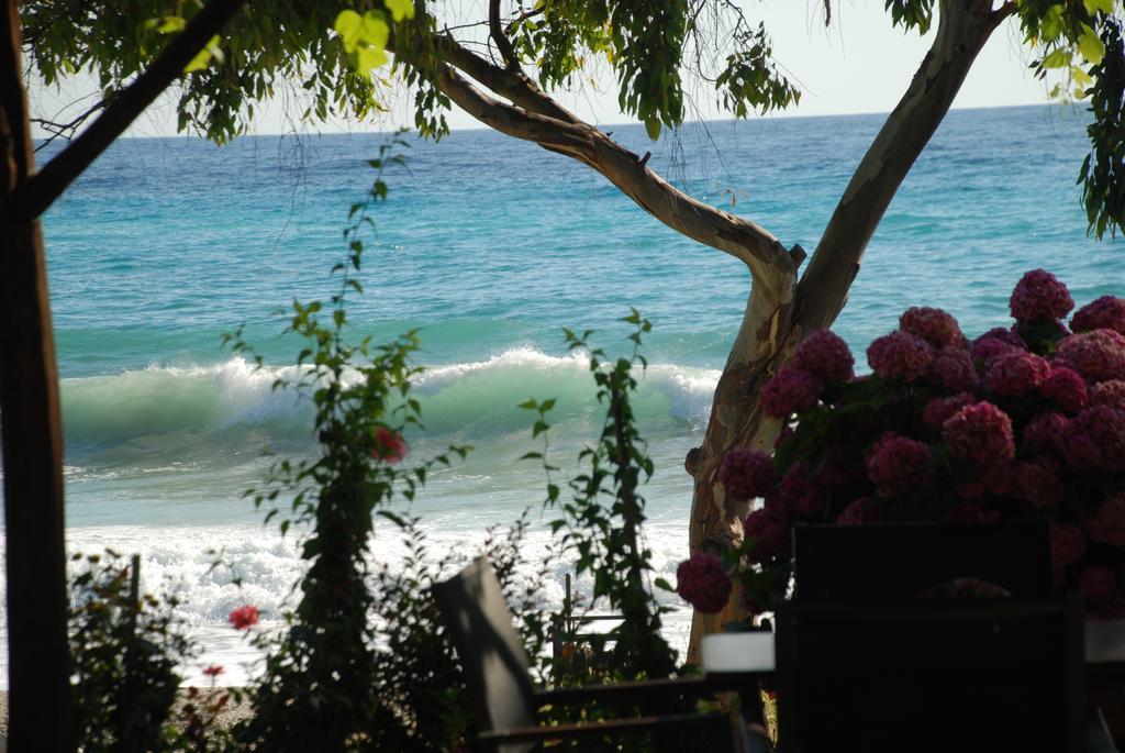 Hotel Cleopatra Chorefton Dış mekan fotoğraf